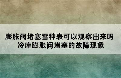 膨胀阀堵塞雪种表可以观察出来吗 冷库膨胀阀堵塞的故障现象